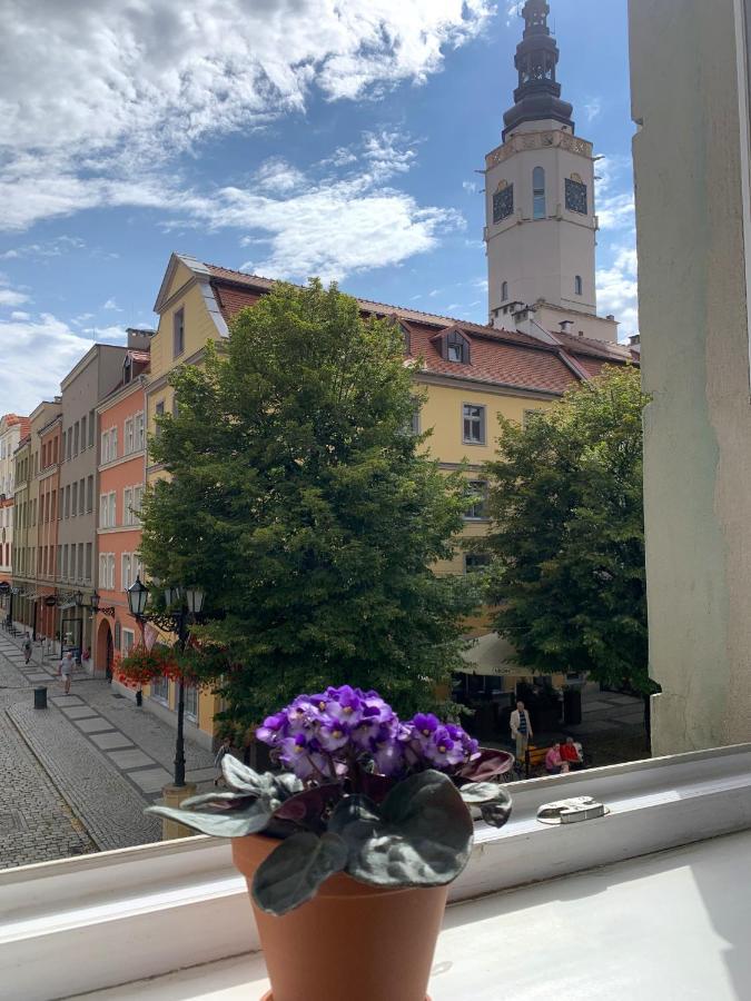 Rynekart Apartment Świdnica Zewnętrze zdjęcie